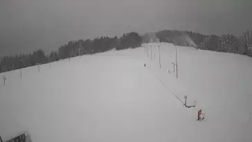 Widok z Kamery na trasę zjazdową w Tylicz.ski.
