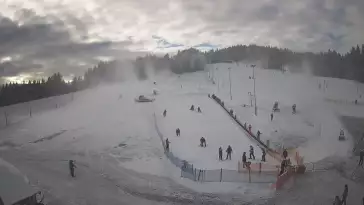 Widok z Kamery na trasę zjazdową w Tylicz.ski.