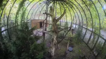 Widok na rehabilitowane bieliki w w Parku im. Aleksandra Majakowskiego