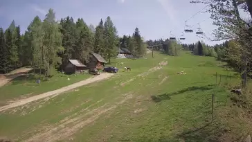 Widok na trasę narciarską Wierchomla szałas