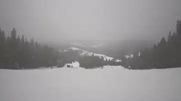 Wyciąg narciarski i fragment trasy zjazdowej ośrodka narciarskiego Wierchomla