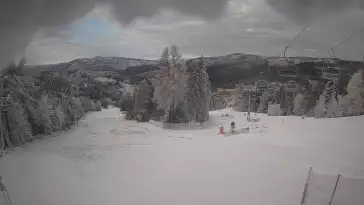 Obraz live z kamery prezentujący kilometrową trasę z wyciągu Wierchomla - Polanki.