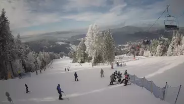 Obraz live z kamery prezentujący kilometrową trasę z wyciągu Wierchomla - Polanki.