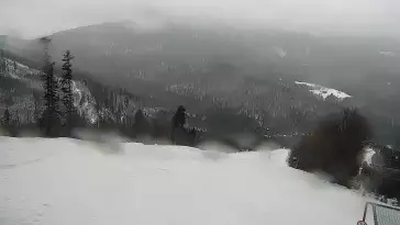 Mosorny Groń - widok z kamery na stok