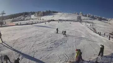 Widok na stok BARTUŚ W ZIELEŃCU - KAMERA LIVE