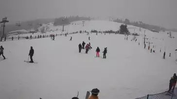 Widok na stok BARTUŚ W ZIELEŃCU - KAMERA LIVE