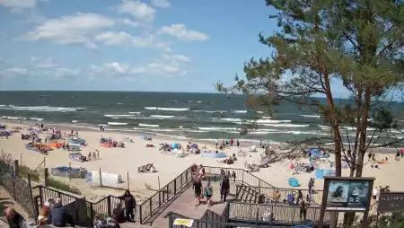 Widok z kamery na plażę w Stegnie to prawdziwa zachęta do wypoczynku.