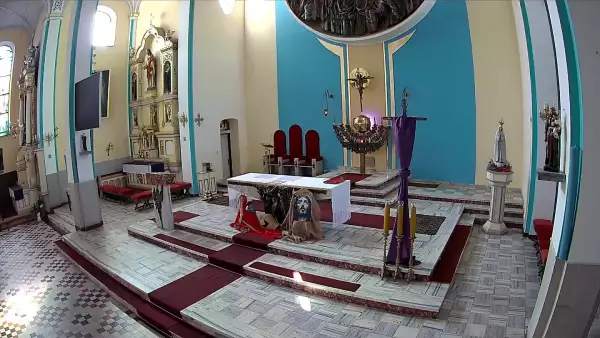 Widok na żywo Msze Święte Online kamera.