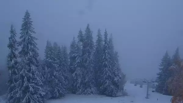 Widok z kamery na górnej stacji PKL na Butorowym Wierchu