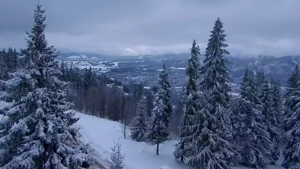 Widok z kamery na górnej stacji PKL na Butorowym Wierchu
