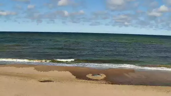 Widok na plażę w Chłapowie