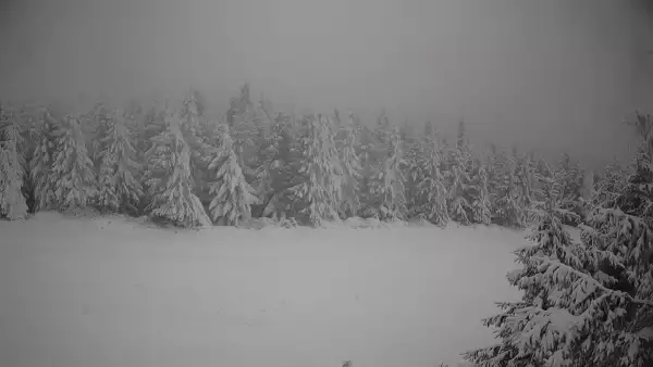 Widok na trasę zjazdową w Czarna Góra Resort Sienna