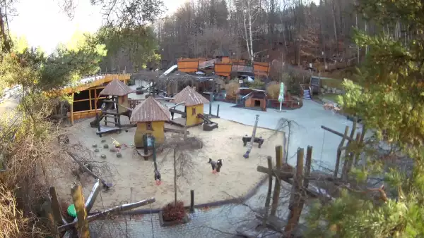 Magiczna Osada w Czarnym Groniu