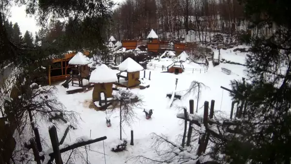 Magiczna Osada w Czarnym Groniu