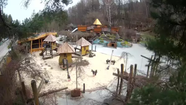 Magiczna Osada w Czarnym Groniu