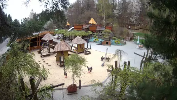 Magiczna Osada w Czarnym Groniu