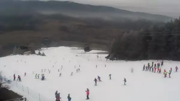 Panoramiczny obraz na żywo z górnej stacji ośrodka Czorsztyn Ski przedstawiający warunki narciarskie panujące w Czorsztynie - Kluszkowcach.