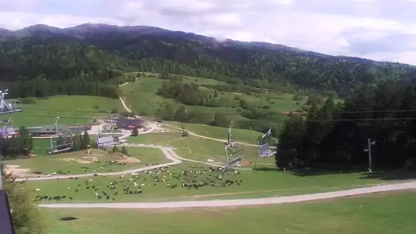 Panoramiczny obraz na żywo z górnej stacji ośrodka Czorsztyn Ski przedstawiający warunki narciarskie panujące w Czorsztynie - Kluszkowcach.
