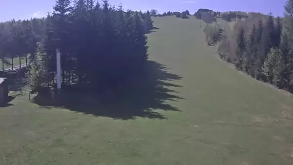 Widok na żywo z dolnej stacji wyciągu Pod Dziedzicem w Gogołowie prezentujący całość stoku.