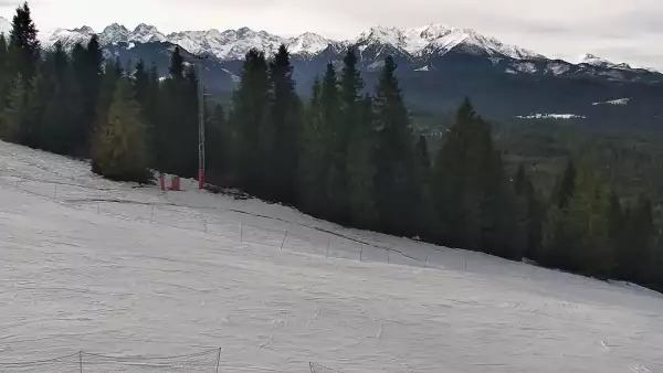 Jurgów ski - widok panoramiczny na trasy NOWOŚĆ