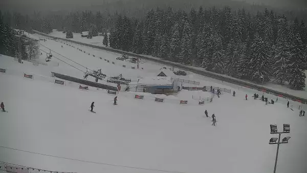 Widok z Kamery na dolny odcinek trasy w Jurgów -ski