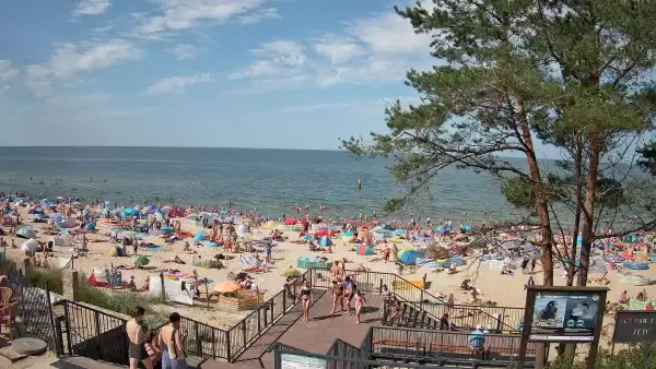 Widok z kamery na plażę w Stegnie to prawdziwa zachęta do wypoczynku.
