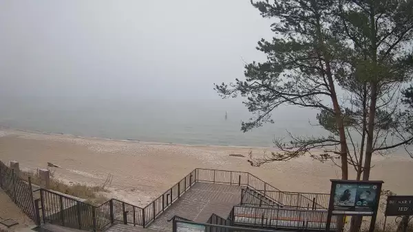 Widok z kamery na plażę w Stegnie to prawdziwa zachęta do wypoczynku.