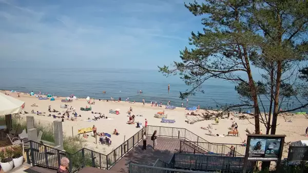 Widok z kamery na plażę w Stegnie to prawdziwa zachęta do wypoczynku.