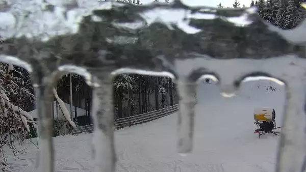 Widok z Kamery na wyciąg taśmowy w Karpacz Biały Jar.