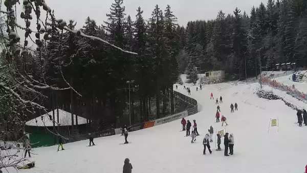 Widok z Kamery na wyciąg taśmowy w Karpacz Biały Jar.