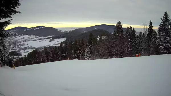 Widok na trasy narciarskie w Kasinie, gdzie czerwona trasa łączy się z niebieską.
