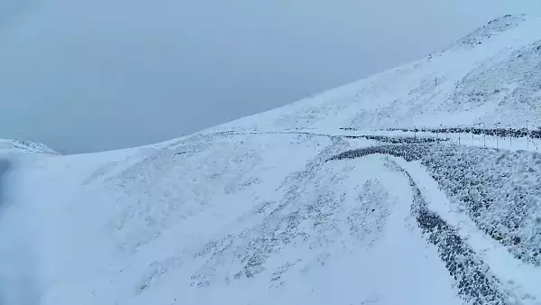 Hala Gąsienicowa w Tatrach z kamery na żywo.