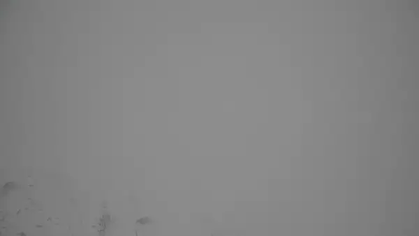 Widok z Kamery na panoramę Tatr na żywo