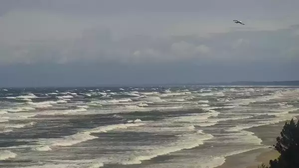 Widok na plażę i morze w Kątach Rybackich - zobacz