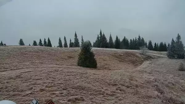 Kamera na Hali Miziowej - zobacz obraz na żywo