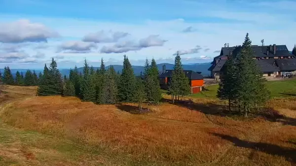 Kamera na Hali Miziowej - zobacz obraz na żywo