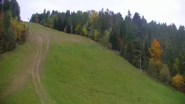Widok na trasę narciarską nr6 w Kotelnicy Białczańskiej