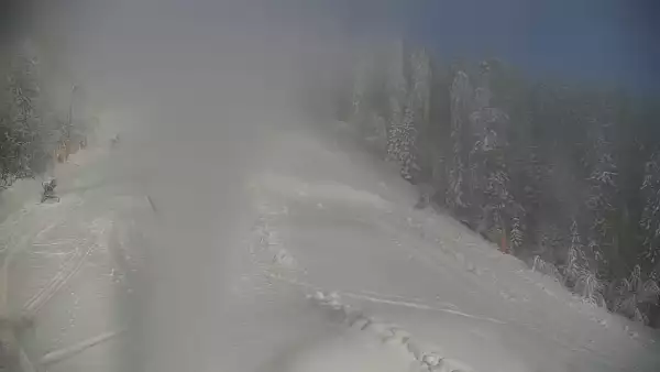 Widok na trasę narciarską nr6 w Kotelnicy Białczańskiej