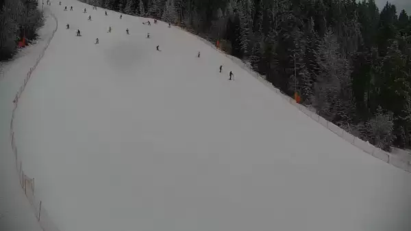 Widok na trasę narciarską nr6 w Kotelnicy Białczańskiej