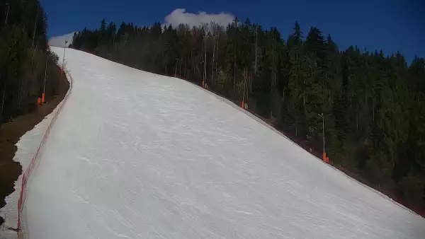 Widok na trasę narciarską nr6 w Kotelnicy Białczańskiej