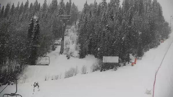 Widok na trasę narciarską nr6 w Kotelnicy Białczańskiej