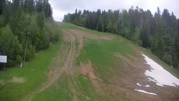 Widok na trasę narciarską nr6 w Kotelnicy Białczańskiej