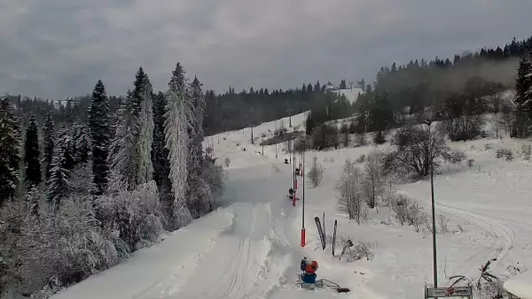 Widok na jedną z dziewięciu kolei krzesełkowej na Kotelnicy - trasa nr 9 - Remiaszów