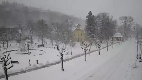 Widok na centrum Krynicy-Zdroju deptak, ścieżka, drzewa.
