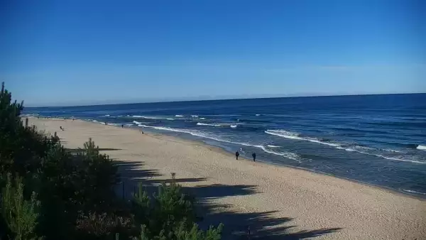 Krynica Morska widok na plażę i morze