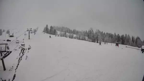 Widok na stok Grapa Litwinka