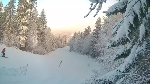 Kamera prezentuje obraz na żywo na jedną z tras zjazdowych stacji narciarskiej Magura Ski