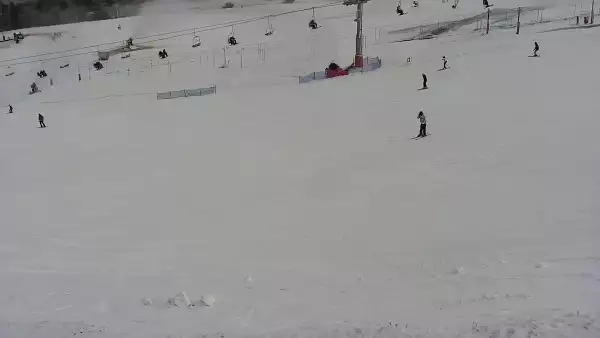 Obraz na stok w Master Ski w Tyliczu - sprawdź warunki online.