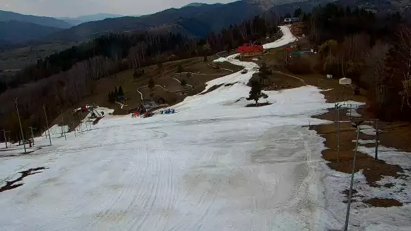 Widok z Kamery Palenica-Szafranówka