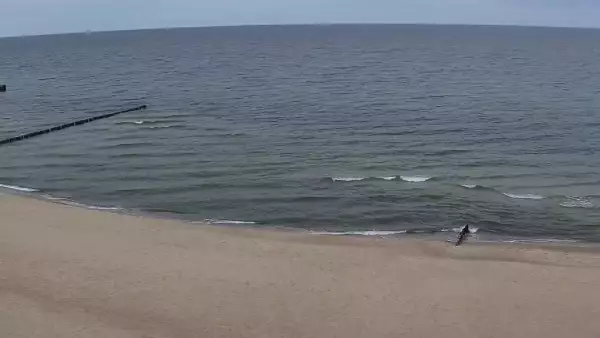 Widok z Kamery na plażę w Rewalu
